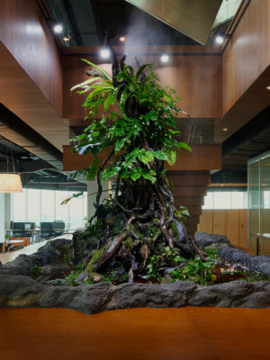 Why Workspaces Need Natural Elements – 3 Reasons to Change Now!